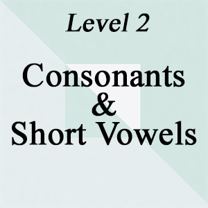 Level 2: Consonants & Short Vowels