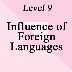 Level 9: Influence of Foreign Languages